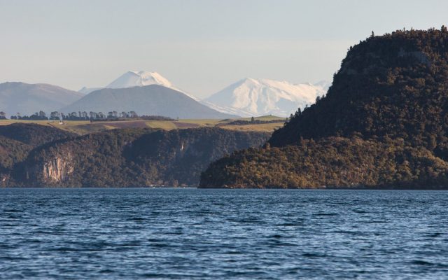 Tūwharetoa Māori Trust Board appoints new Chief Executive