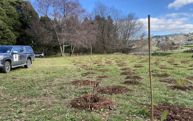 Tūwharetoa Māori Trust Board makes submission about Exposure draft of the National Policy Statement for Indigenous Biodiversity