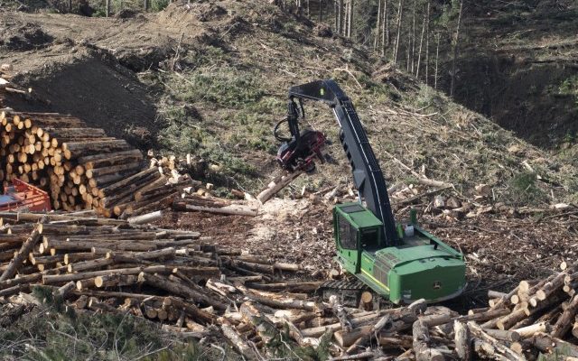 Lake Taupō Forest Trust and Lake Rotoaira Forest Trust close