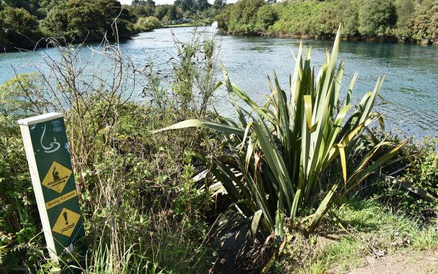 Taupō Moana and Waikato Awa rise to new heights