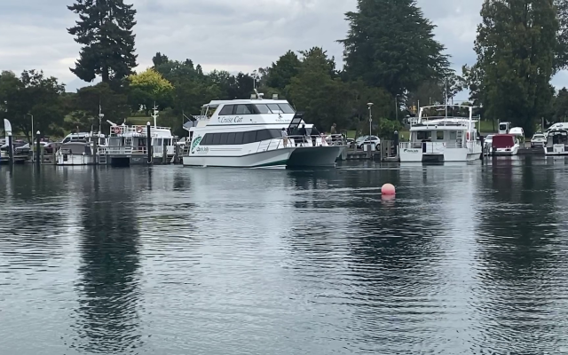 24 commercial operators issued licenses to do business on Taupō-nui-a-Tia