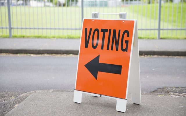 Exercising our democratic rights in Aotearoa