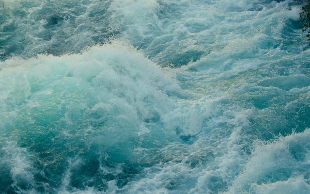 Join Us This Summer in Protecting Taupō Moana and Waikato Awa