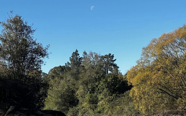 TMTB submissions on Fast Track Bill, WRC Long Term Plan, Māori Wards, Water Services