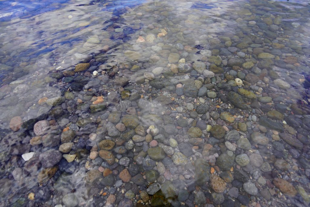 Trust Submission Against the Regulatory Standards Bill