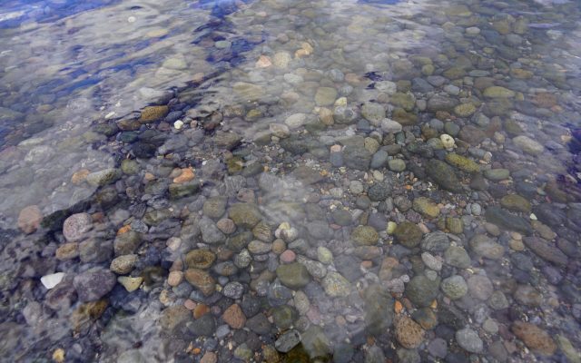 Trust Submission Against the Regulatory Standards Bill