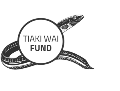 Tiaki Wai Fund