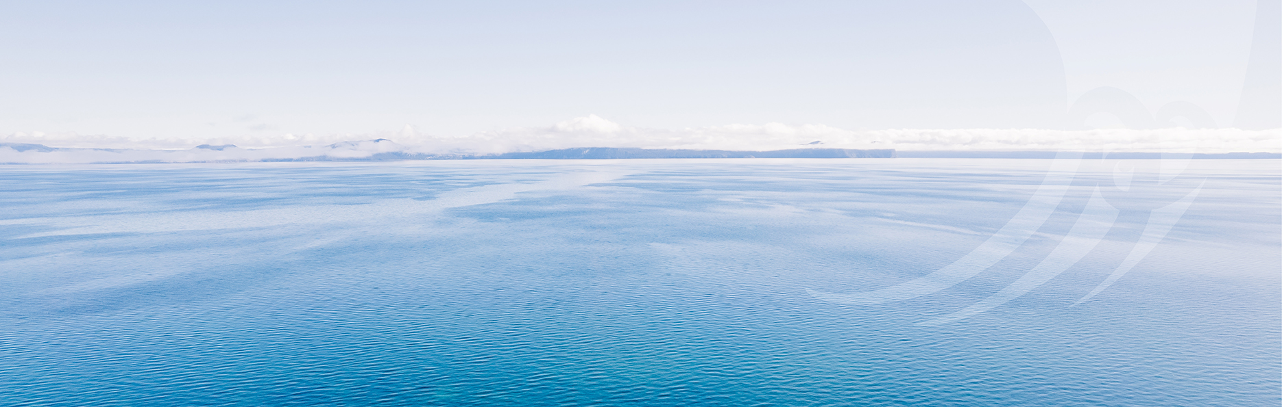 Our organisational structure - Banner