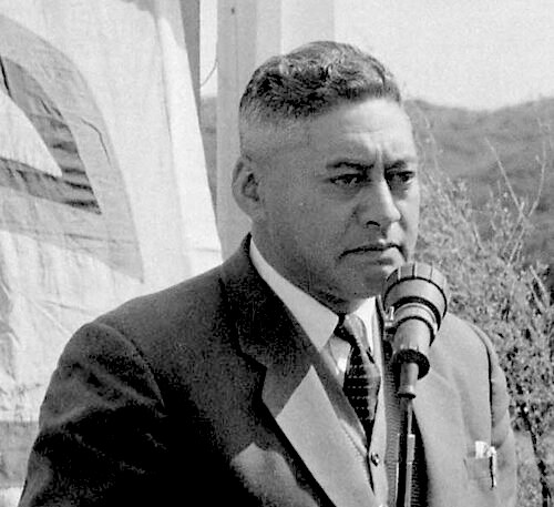 Kaitiakitanga of Taupō Waters